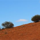 ** Shaped by the prevailing Wind / Lake Hart Sand Dunes **