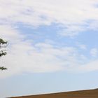 Shapes balance in Tuscany