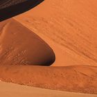 shapes of namib