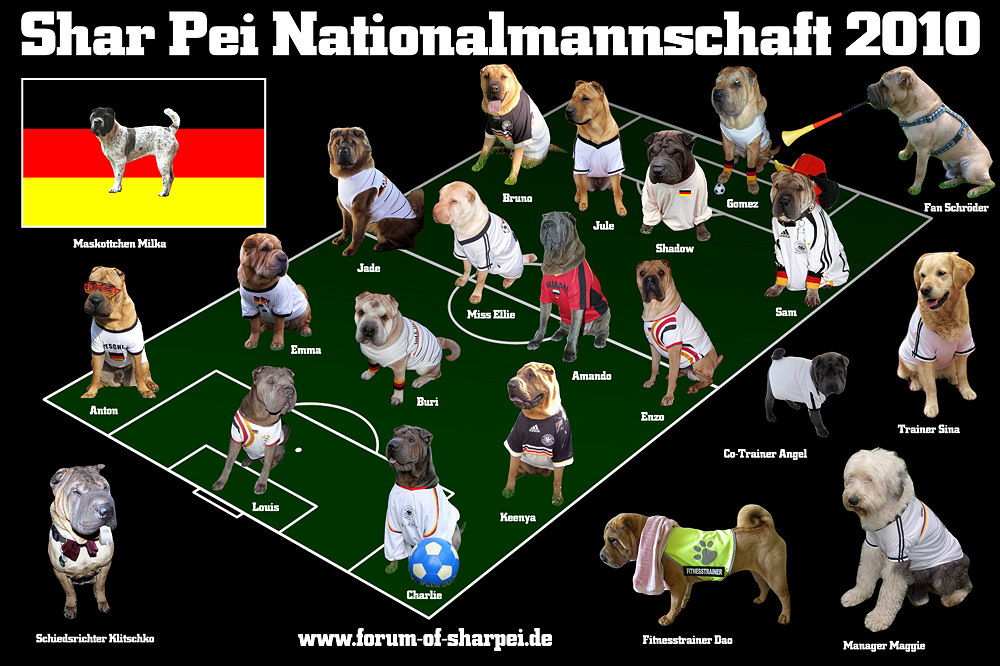 Shar Pei Nationalmannschaft 2010