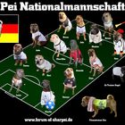 Shar Pei Nationalmannschaft 2010