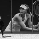 sharapova