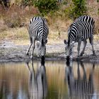 Sharing a drink