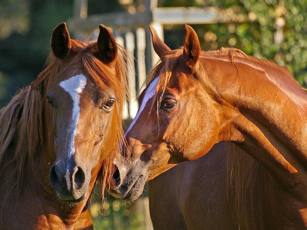 Sharing Secrets