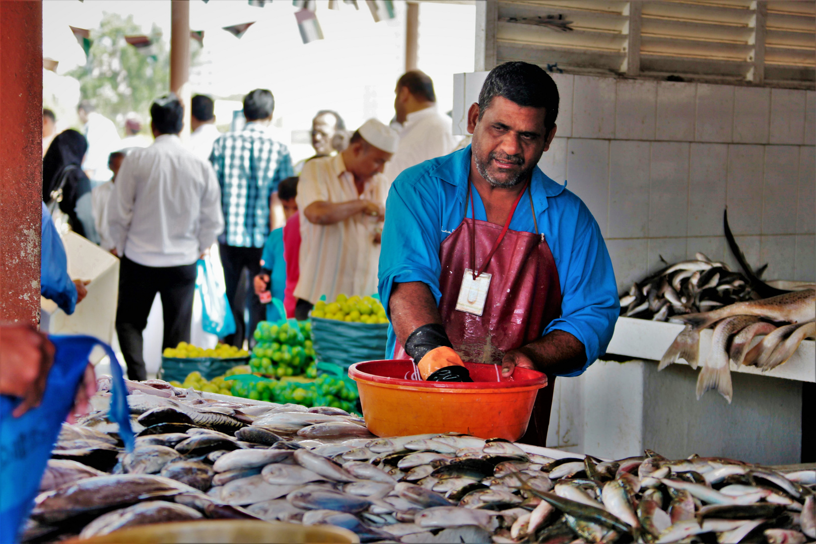 Sharjah fish market