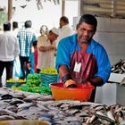 Sharjah fish market