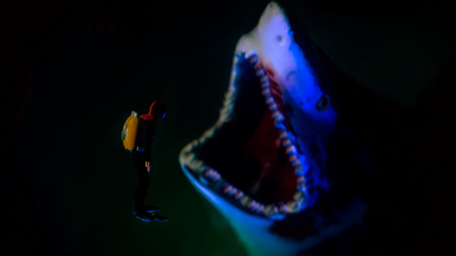 Shark Attac