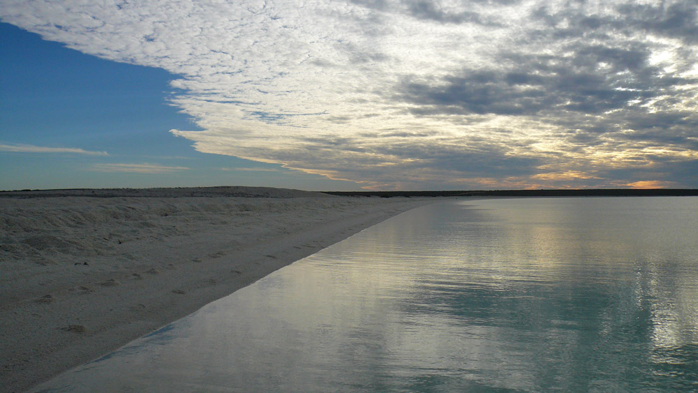 Shark Bay