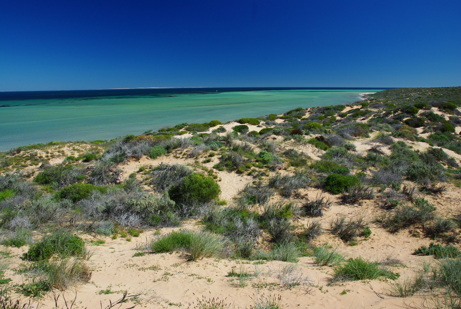 Shark Bay Foto & Bild australia & oceania, australia, western