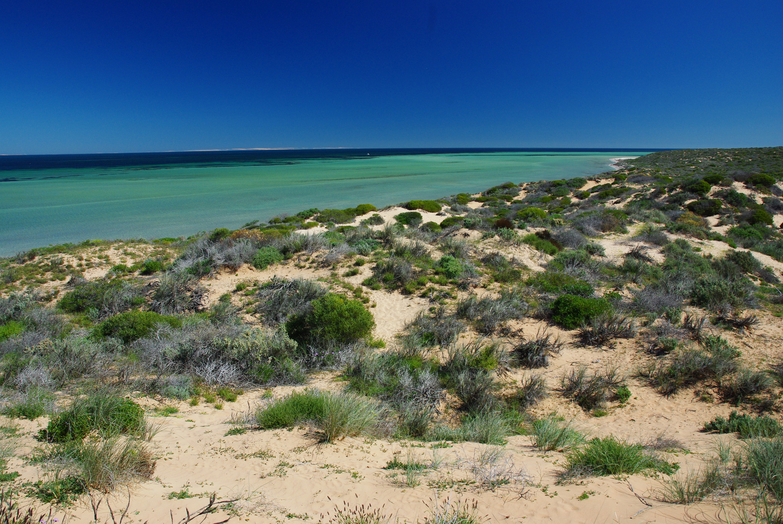 Shark Bay