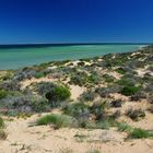 Shark Bay