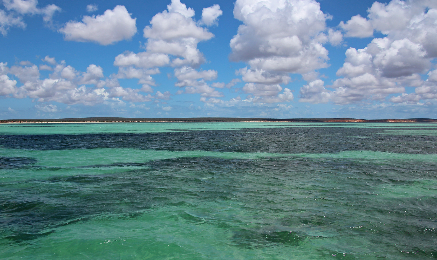 Shark Bay