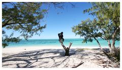 Shark Bay, Heron Island