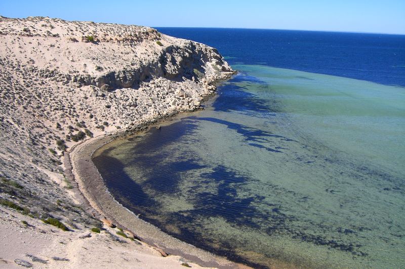 Shark Bay (leider ohne Haie...)