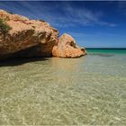 "Shark Bay" - Westaustralien, 2008