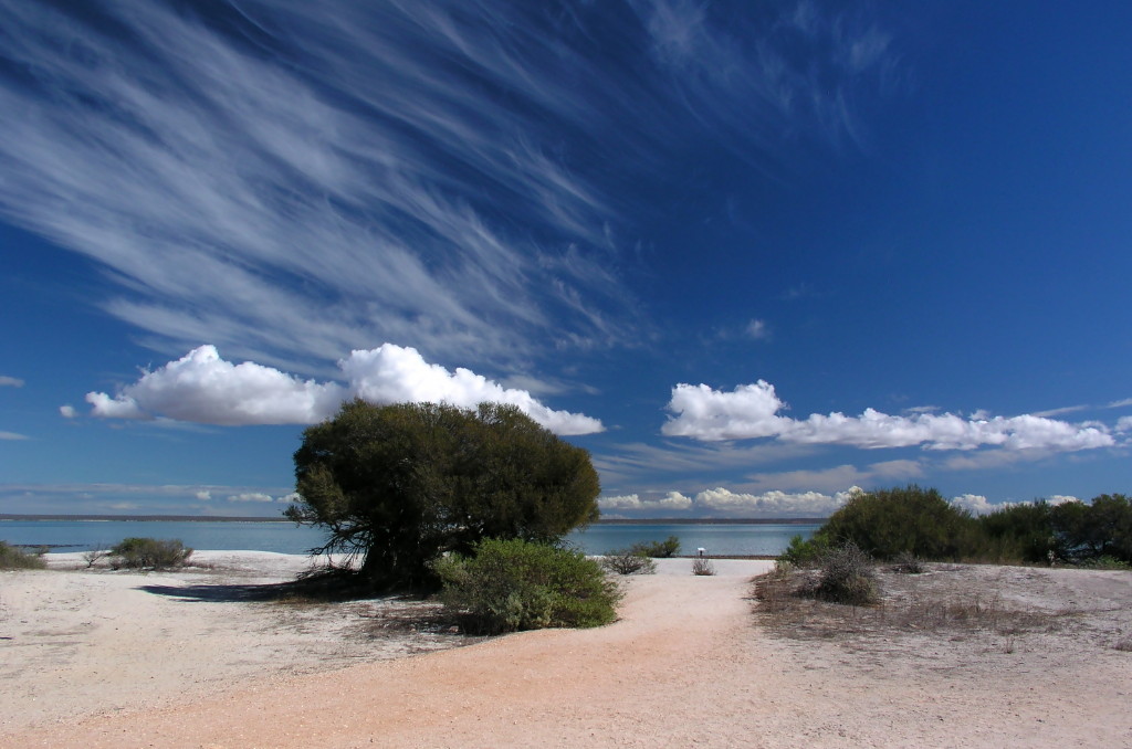 Shark Bay, Westaustralien 2009