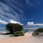 Shark Bay, Westaustralien 2009