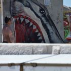 Shark eating  man 