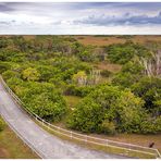 Shark Valley, Everglades ...