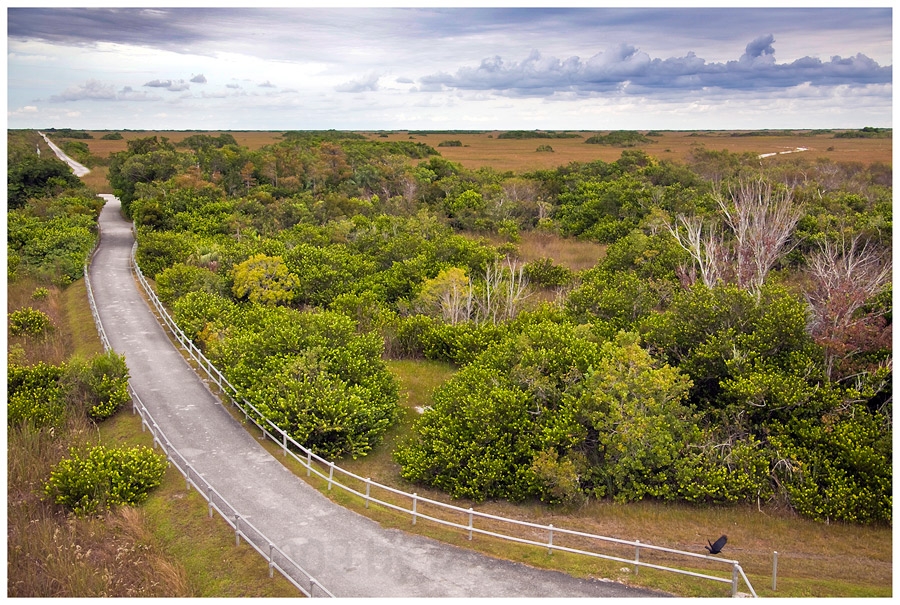 Shark Valley, Everglades ...