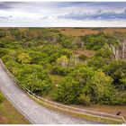 Shark Valley, Everglades ...