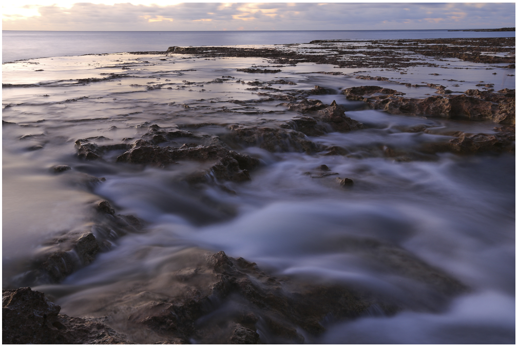 sharks cove