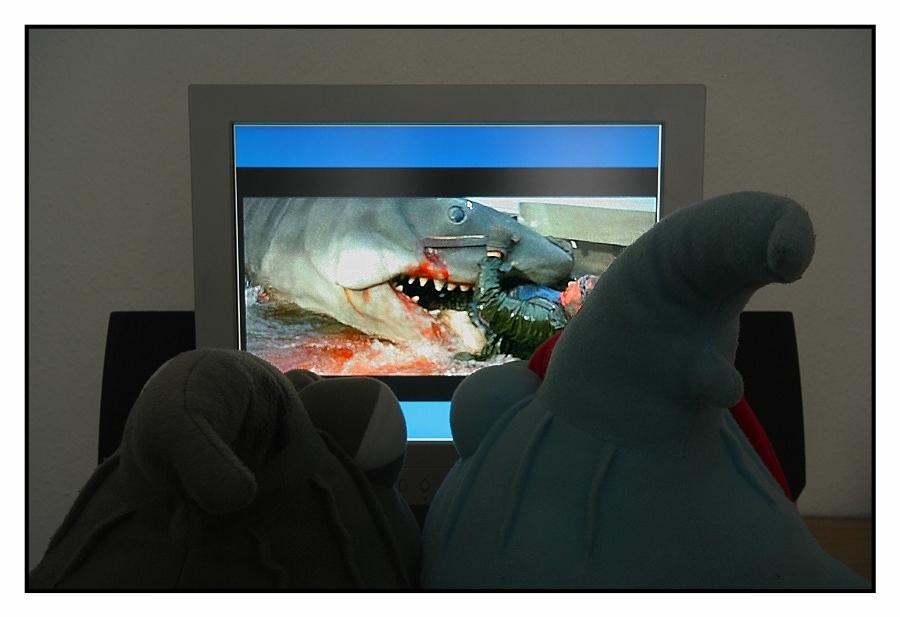 Sharky und Hyson gucken den "Weissen Hai"