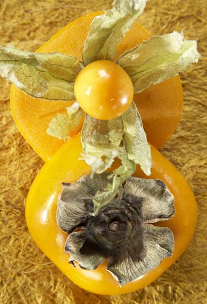 Sharon mit Physalis