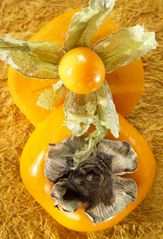 Sharon mit Physalis