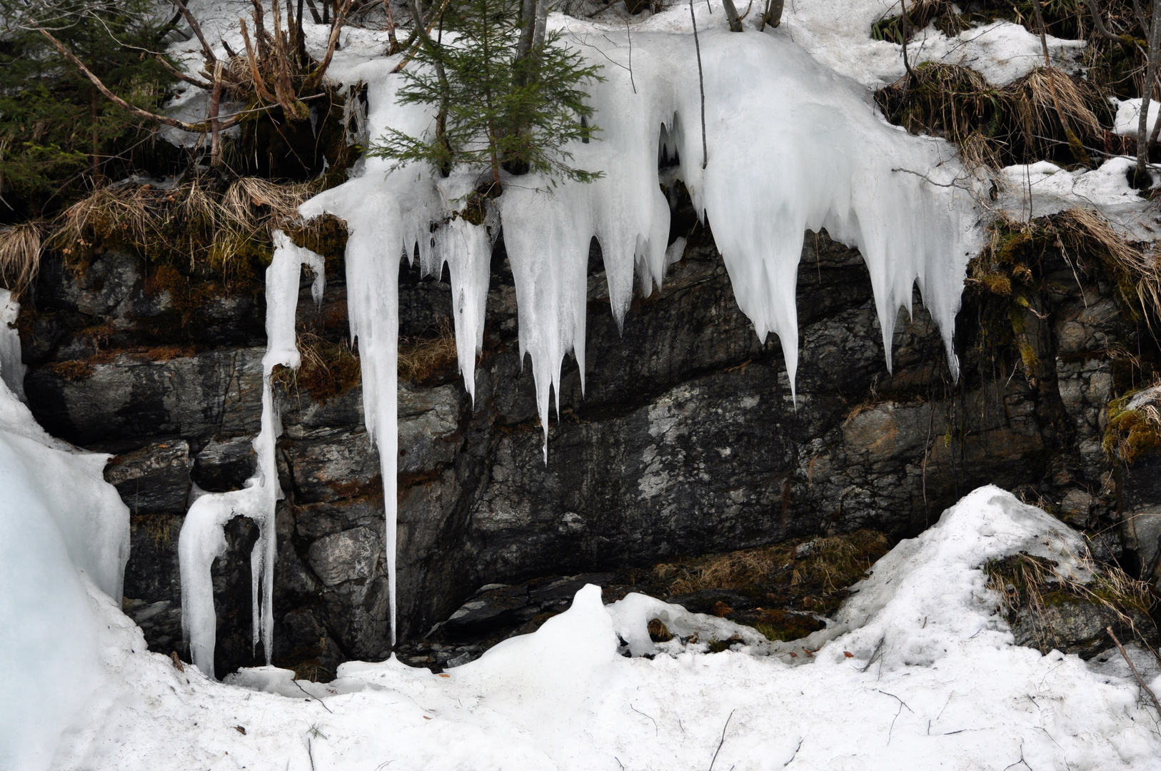 sharp as ... ice