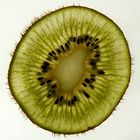 sharp kiwi