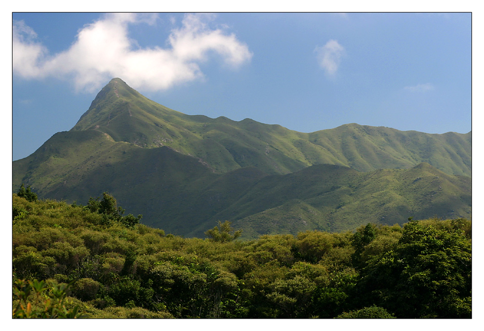 Sharp Peak