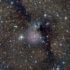 Sharpless 82 ein Kleinod im Sternbild Pfeil