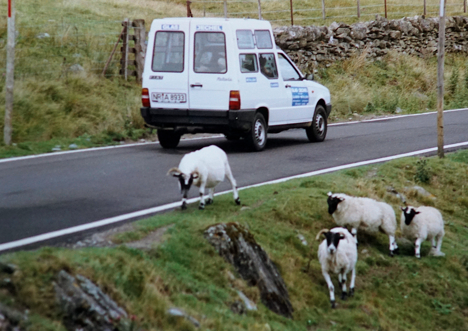 Shaun und seine Freunde