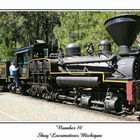 Shay Locomotives Michigan - Number 10