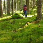 She Came Across the Mossy Woods