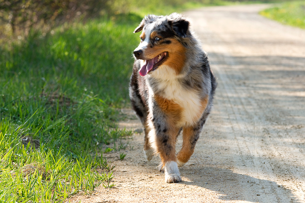 she is walking......