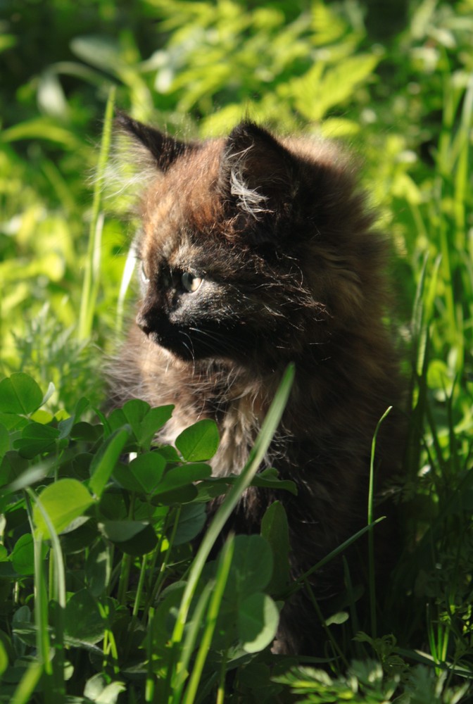 she saw first time the grass :)