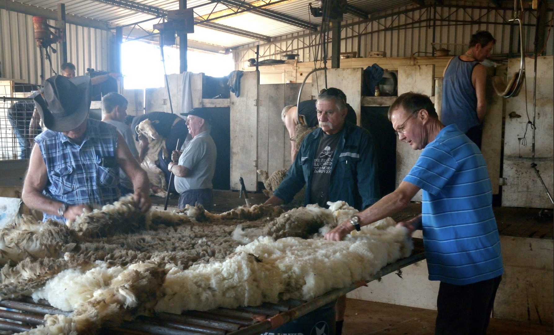 Shearing Shed WA. Wool Classing