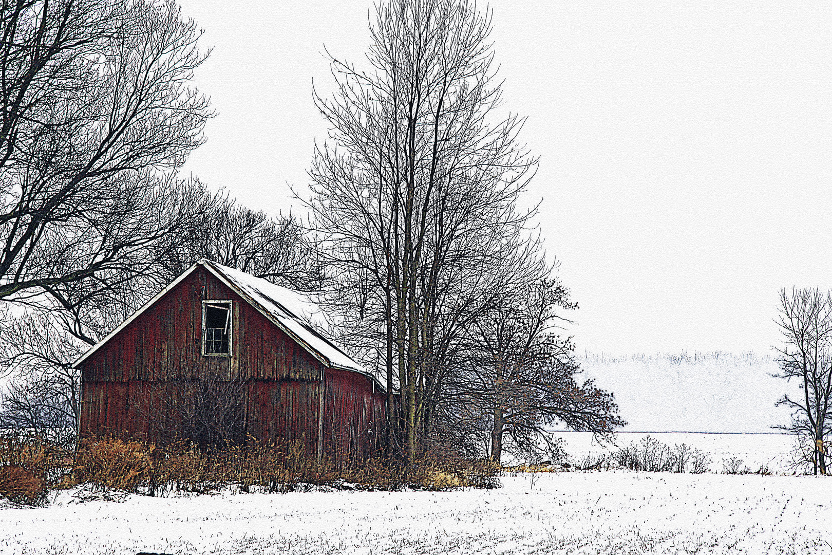 Shed in Winter