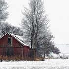 Shed in Winter