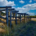 Sheep Loading Ramps