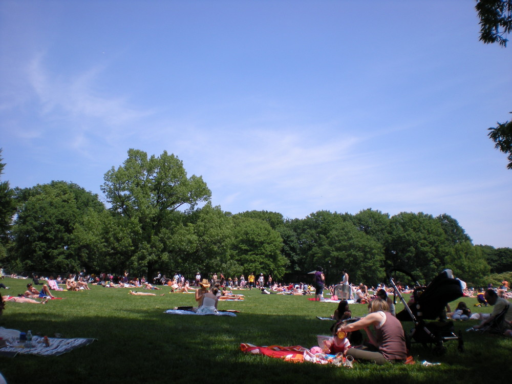 Sheep Meadow