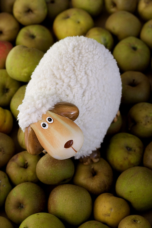 Sheep on Apples