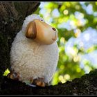 Sheep On Tree