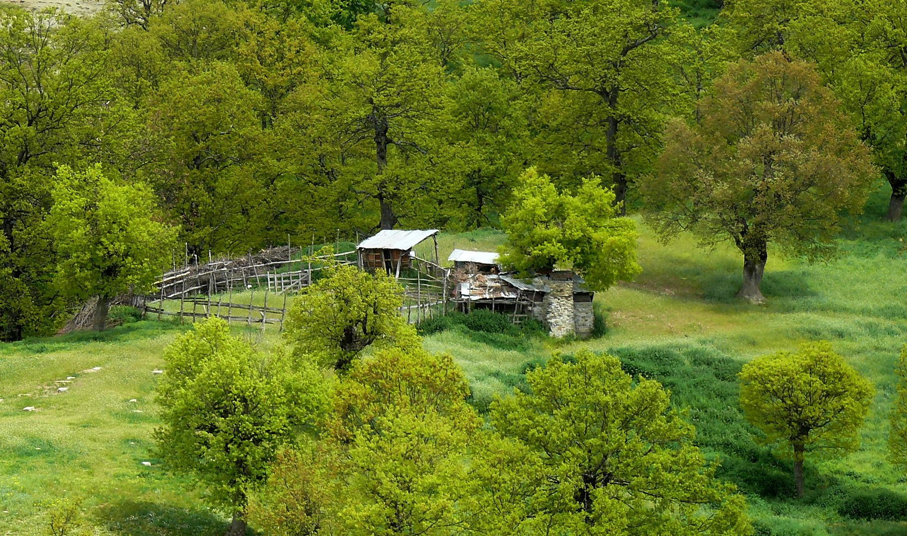 Sheepfold