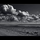 sheeps and clouds