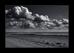 sheeps and clouds