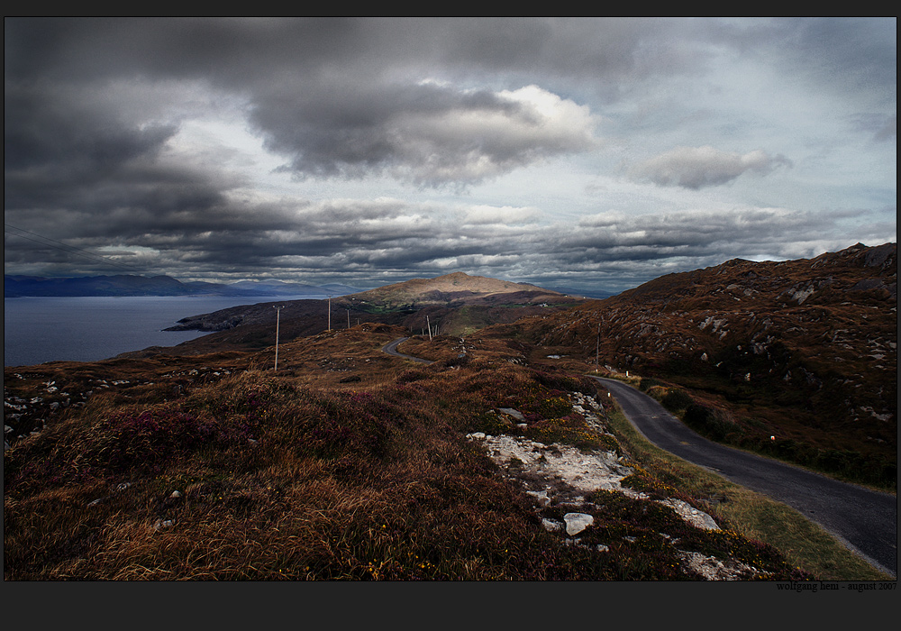 sheep's head