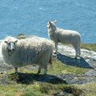 Sheep's Head, Co. Cork